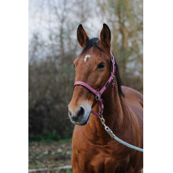 Nylon Halster Spring Equithème Roze Nylon Halster Spring Equithème Roze