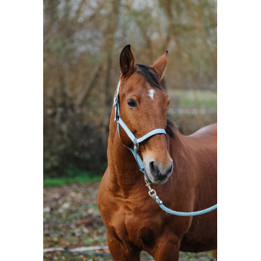 Nylon Halster Spring Equithème Turkoois Blauw