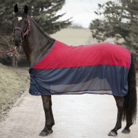 Set halster, leadrope en...