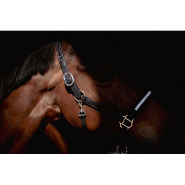 Halster Pénélope Harmonie Zwart