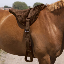 Norton Comfort barebackpad Bruin Norton Comfort barebackpad Bruin