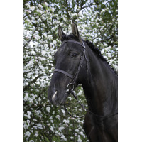 Bridon Riding World Franse neusriem Zwart