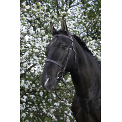 Bridon Riding World Franse neusriem Havana Bruin