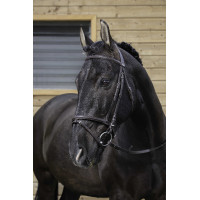 Bridon Riding World gecombineerde neusriem Havana Bruin