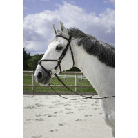 Bridon Riding World Kruisneusriem Zwart Bridon Riding World Kruisneusriem Zwart