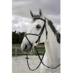 Bridon Riding World Kruisneusriem Zwart