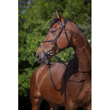 Bridon Riding World Kruisneusriem Zwart