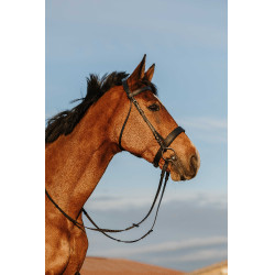 Bridon Riding World Neusriem breed Zwart