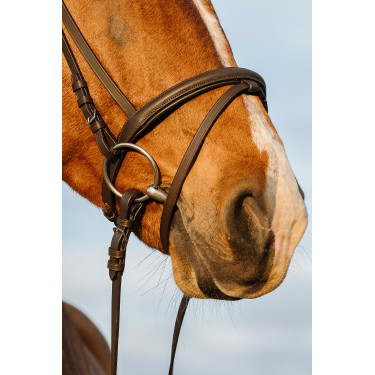 Bridon Riding World gecombineerde gecombineerde neusriem Havana Bruin