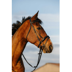 Bridon Riding World gecombineerde gecombineerde neusriem Zwart