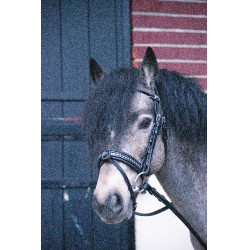 Bridon Pénélope Eden Zwart