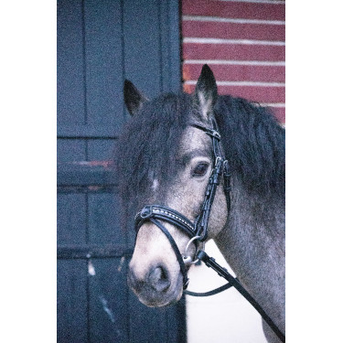 Bridon Pénélope Eden Zwart