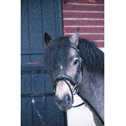 Bridon Pénélope Eden Zwart