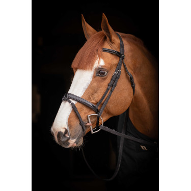 Birdon Oxford Prestatie Pénélope Zwart