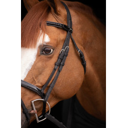 Birdon Oxford Prestatie Pénélope Zwart