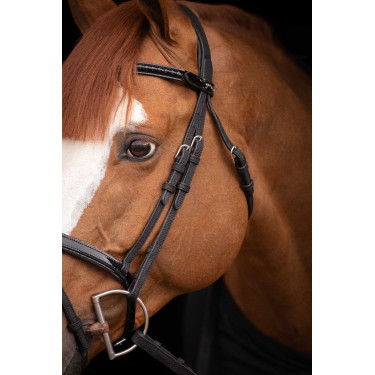 Birdon Oxford Prestatie Pénélope Zwart