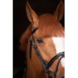 Birdon Oxford Prestatie Pénélope Zwart