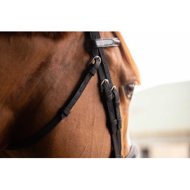 Birdon Oxford Prestatie Pénélope Zwart