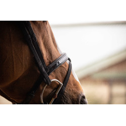 Birdon Oxford Prestatie Pénélope Zwart