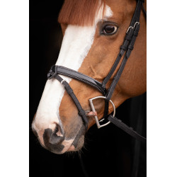 Birdon Oxford Prestatie Pénélope Zwart