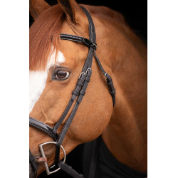 Birdon Oxford Prestatie Pénélope Zwart