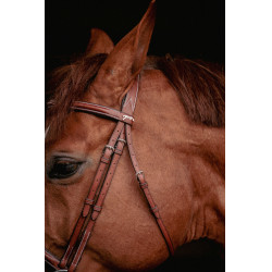 Bridon Hunter US Pénélope Hazelnoot / havana Bridon Hunter US Pénélope Hazelnoot / havana