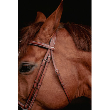 Bridon Hunter US Pénélope Hazelnoot / havana Bridon Hunter US Pénélope Hazelnoot / havana