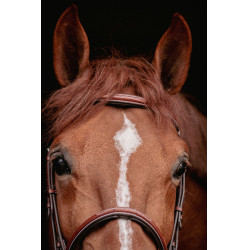 Bridon Hunter US Pénélope Hazelnoot / havana Bridon Hunter US Pénélope Hazelnoot / havana