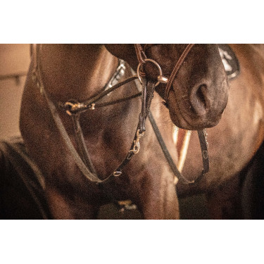 Teugels Pénélope Howlett leer Zwart