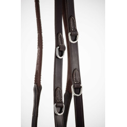 Teugels Pénélope Howlett leer Havana Bruin