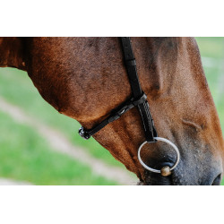 Bridon Freedom Norton Zwart