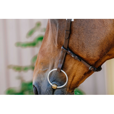 Bridon Freedom Norton