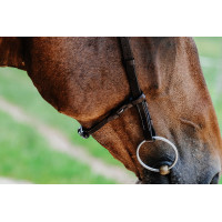 Bridon Freedom Norton Zwart
