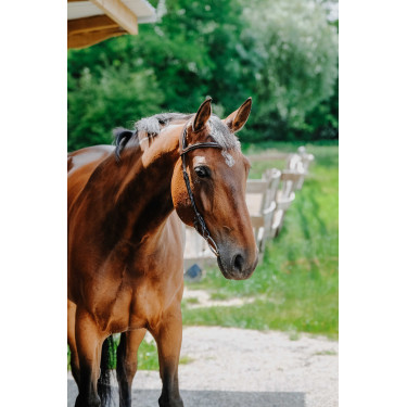 Bridon Freedom Norton