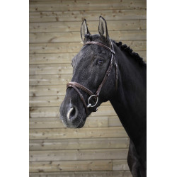 Bridon Norton Pro Fin Havana Bruin Bridon Norton Pro Fin Havana Bruin