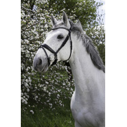 Bridon Norton Pro Strass Zwart Bridon Norton Pro Strass Zwart