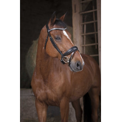 Bridon Norton Pro Strass Zwart Bridon Norton Pro Strass Zwart