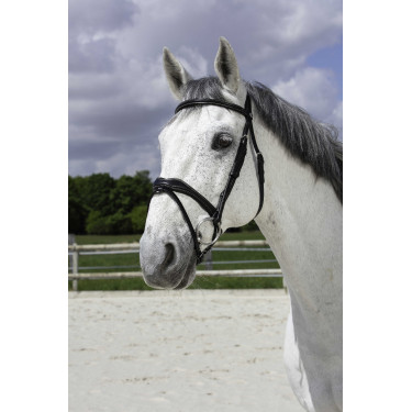 Bridon Norton Pro Golvend