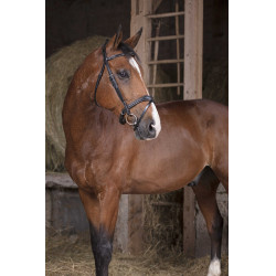 Bridon Norton Pro Golvend