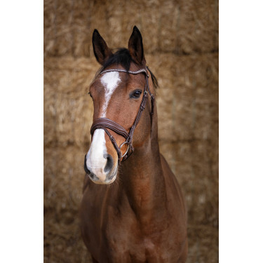 Bridon Norton Pro Miss Havana Bruin