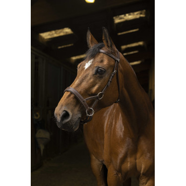 Side-pull Norton Pro Comfort Havana Bruin Side-pull Norton Pro Comfort Havana Bruin