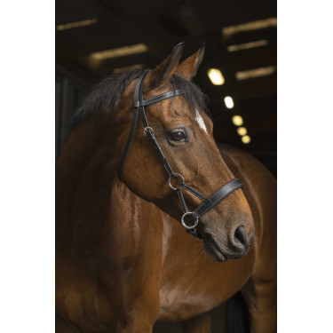 Side-pull Norton Pro Comfort Zwart