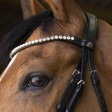 Bridon Norton Pro Bella Zwart