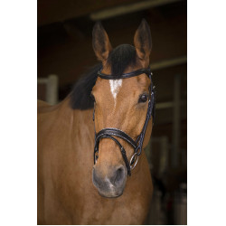 Bridon Norton Pro Rock Zwart