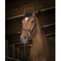 Bridon Norton Pro Rock Havana Bruin