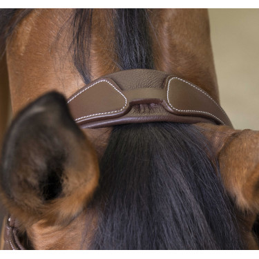 Bridon Norton Pro Rock Havana Bruin