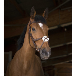 Bridon Norton Pro met kruisneusriem Havana Bruin Bridon Norton Pro met kruisneusriem Havana Bruin