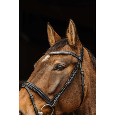 Bridon Norton Pro Galon Zwart