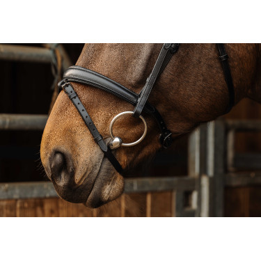 Bridon Norton Pro Donker Zwart Bridon Norton Pro Donker Zwart