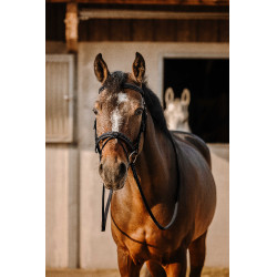 Bridon Eric Thomas Werk Zwart